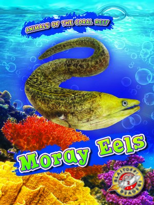 cover image of Moray Eels